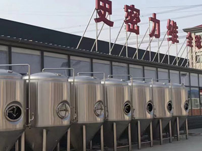 凤庆精酿啤酒设备厂—市场规模与跨界新需求